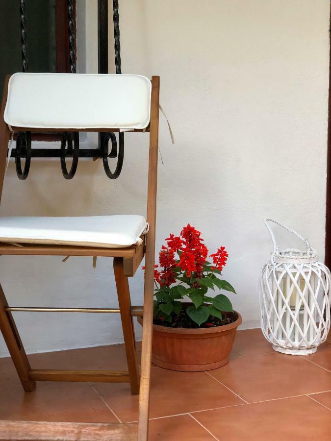 Apartment Nicolas Котор Екстериор снимка